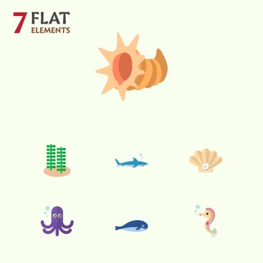 Simge düz doğa balina, alga, deniz atı ve diğer vektör nesnelerini ayarlayın. Ayrıca deniz kabuğu, tarak, köpekbalığı öğeleri içerir.