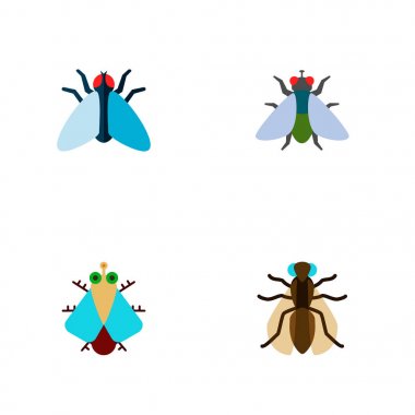 Simge düz sinek buzz, tatarcık, sinek ve diğer vektör nesneleri kümesi. Ayrıca anında, sinek elementleri içerir.