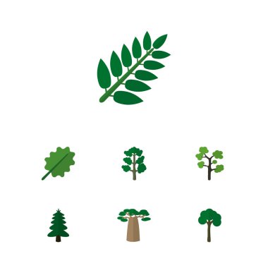 Simge düz doğa Bahçe, ahşap, Ladin ve diğer vektör nesnelerini ayarlayın. Ayrıca ağaç, yaprak dökmeyen, yaprak unsurları içerir.