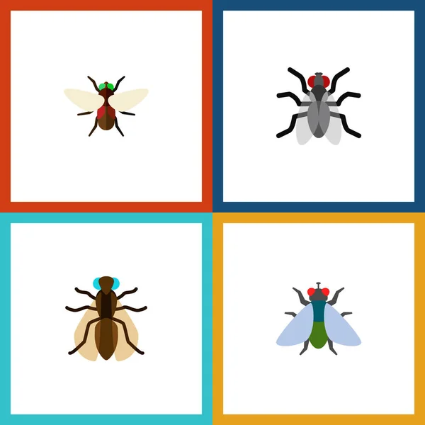 Икона плоской мухи из множества векторных объектов. Также включает элементы мухи, мошки, гула . — стоковый вектор