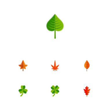 Simge düz yeşillik, yaprak, kızılağaç ve diğer vektör nesneleri kümesi bırakır. Ayrıca yaprak, yeşillik, hickory öğeleri içerir.