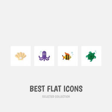 Simge düz deniz orkinos, ahtapot, kaplumbağa ve diğer vektör nesneleri ayarlayın. Ayrıca, ton balığı, kaplumbağa, içerir balık öğeleri.