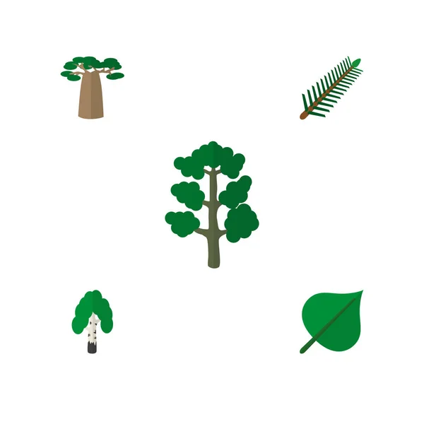 Икона плоской экологии из дерева, кемария, листвы и других векторных предметов. Также включает в себя деревья, лес, природные стихии . — стоковый вектор