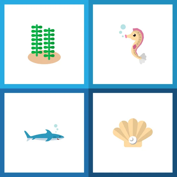 Icono conjunto de mar plano de alga, peces grises, caballitos de mar y otros objetos vectoriales. También incluye tiburón, caracol, elementos de perlas . — Vector de stock