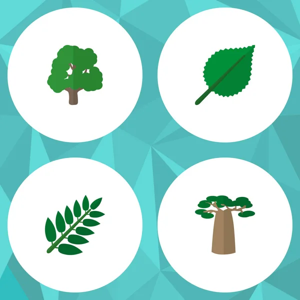 Plat natuurlijke pictogrammenset alder, bladeren, park en andere vectorobjecten. Bevat ook elementen van de boom, blad, park. — Stockvector