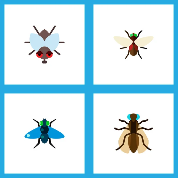 Symbol flache Summen Set von Blauflasche, Dung, Fliege und anderen Vektorobjekten. umfasst auch Fliege, Blaubeere, Dungelemente. — Stockvektor