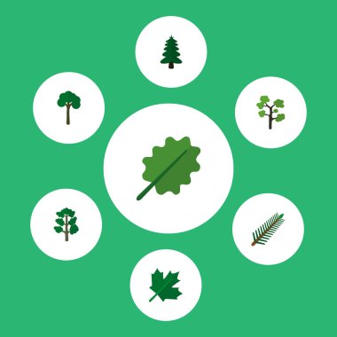 Simge düz biyo Ladin, Unutulmayan, biberiye ve diğer vektör nesnelerini ayarlayın. Ayrıca ağaç, yaprak dökmeyen, yaprak unsurları içerir.