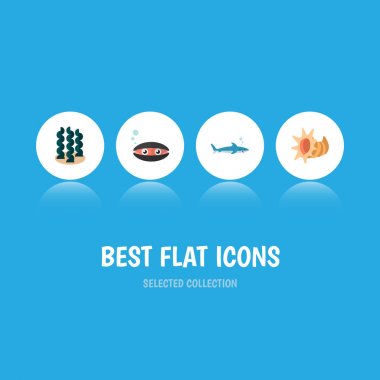 Simge düz doğa seashell, cockleshell, deniz yosunu ve diğer vektör nesneleri kümesi. Ayrıca deniz kabuğu, içerir tarak, Balık öğeleri.