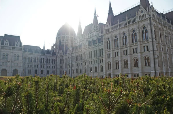 Jesień Budapeszcie Budynek Węgierskiego Parlamentu Słoneczny Dzień Jesieni Widok Budynku — Zdjęcie stockowe