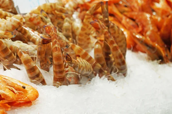 Fresh Prawns Lie Cold Ice Sale Shrimp Fresh Seafood Isolated — Stock Photo, Image
