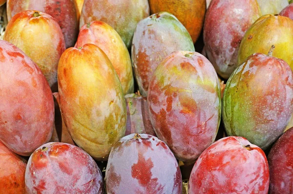 Boqueria 成熟多汁的芒果被摆放在超级市场的货架上 水果容器 免版税图库图片