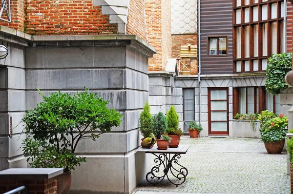 盛开的安特卫普 比利时在绽放 安特卫普的庭院 比利时风格 安特卫普庭院植物花床 免版税图库照片