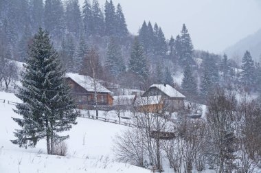 Kış dağ köyü Ukrayna Karpatlar saran. Ukrayna Karpatlar karlı dağ vadisinde küçük evlerde. Kış aylarında Ukrayna Karpatlar.