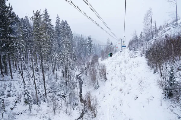 Walk to the ski track. The chair lift rises up above the snow-covered trees.