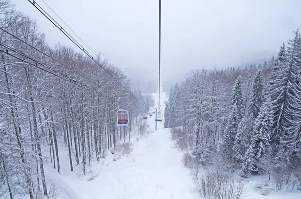 Walk to the ski track. The chair lift rises up above the snow-covered trees.