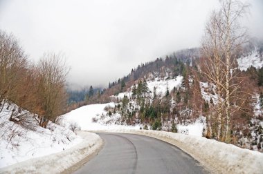  Karpatlar nehirde dağ. Küçük bir nehir kış aylarında Ukrayna orman kaplı dağlar arasında bir sel akar.                              