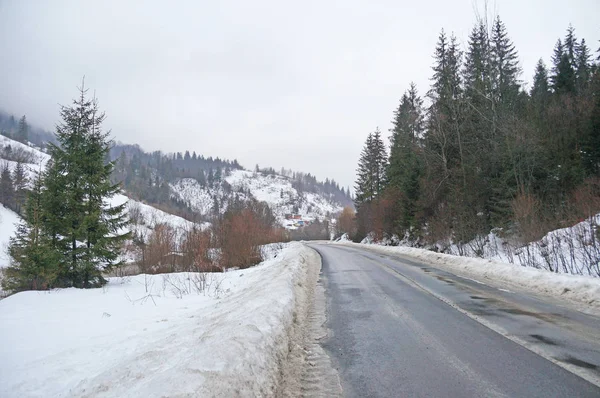 Dağ yolundan. Karla kaplı dağlar ve iğne yapraklı orman arasında uzanan mesafe, asfalt yol gider.                               
