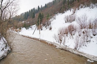  Karpatlar nehirde dağ. Küçük bir nehir kış aylarında Ukrayna orman kaplı dağlar arasında bir sel akar.                              