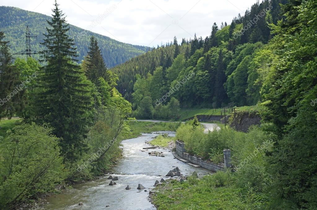 The mountain river Prut quickly flows around the mountain slopes of the Carpathian Mountains covered with dense forest.