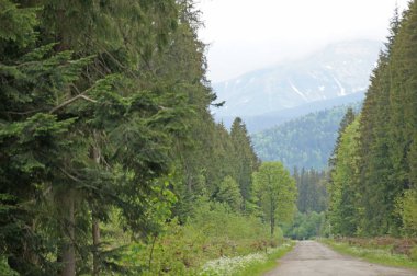 Ukrayna Karpatlar Goverla Dağı mesafe içine bir dolambaçlı yol gider.