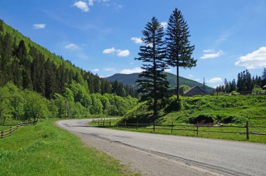 Bir yol Karpat Dağları arasında bir güneşli bahar gününde uzanır..