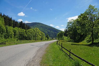 Bir yol Karpat Dağları arasında bir güneşli bahar gününde uzanır..