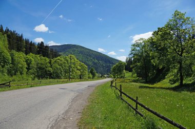 Bir yol Karpat Dağları arasında bir güneşli bahar gününde uzanır..