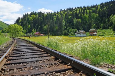Demiryolu rayları Ukrayna dağlar arasında streç. Karpatlar Hutsul evde. Karpatlar baharda. Ukrayna Karpatlar küçük bir evde Dağları, yeşil ormanlar ve bahar çiçekleri ile çevrilidir.