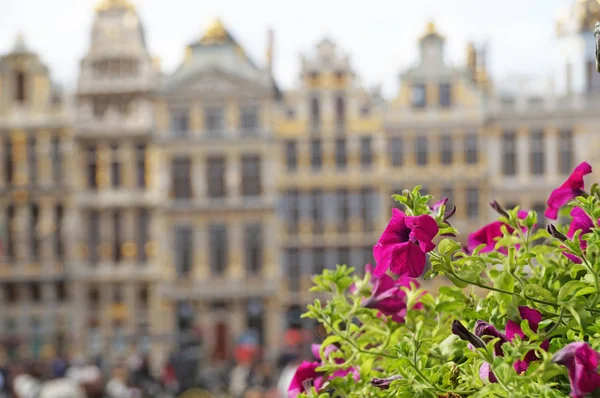 Grand Place in Brussels. Many tourists walk and look at beautiful buildings on the main square in Brussels.