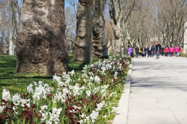 İnsanlar büyük bir şehir parkta yürüyor. Istanbul Park.