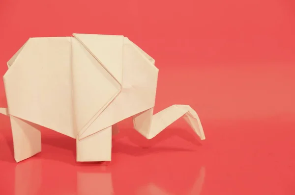 Vita Origami Elefanter Vitboken Elefant Färgad Bakgrund Japansk Konst — Stockfoto