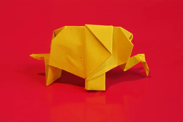 Origami is the elephant. Paper elephant on a colored background. Japanese art.