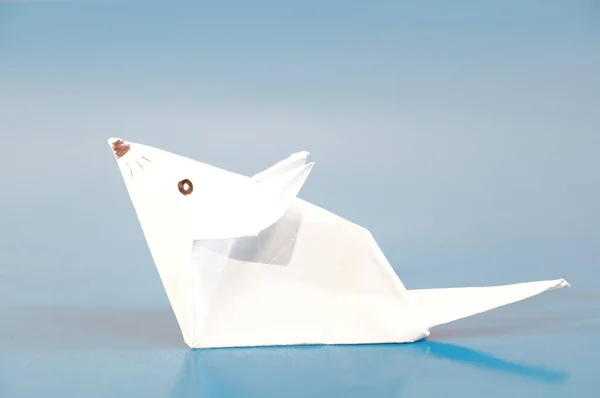 Origami mouse isolated on a colored background. A paper figure of a mouse. Japanese art.