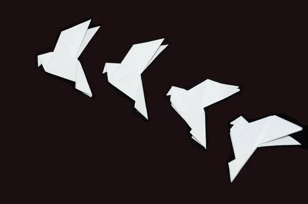 Origami Gołębie Białym Czarnym Tle Obrazek Stockowy