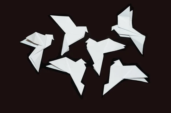 Pombos Origami Isolados Sobre Fundo Preto Fotografias De Stock Royalty-Free