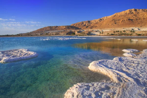 Depósitos Sal Paisaje Típico Del Mar Muerto Israel — Foto de Stock