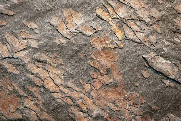 Hermosa textura de piedra — Foto de Stock