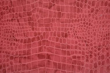 Arka planda sürüngen derileri şeklinde