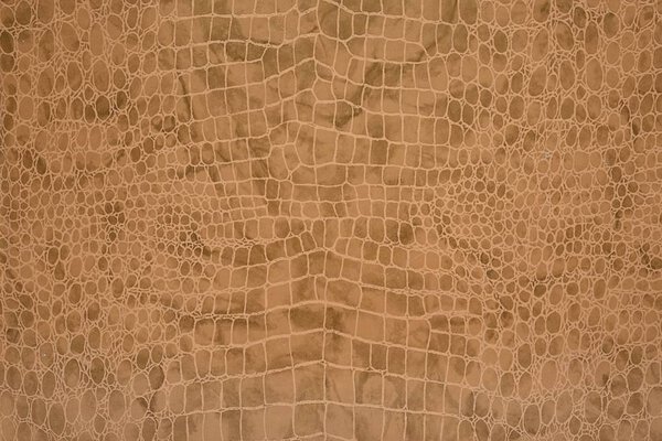 Background in the form of reptile skins