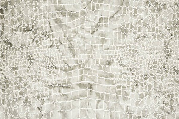 Reptile background (bright colors)