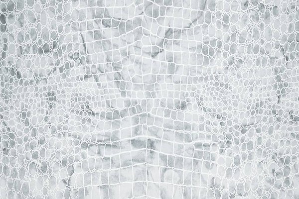 Reptile background (bright colors)