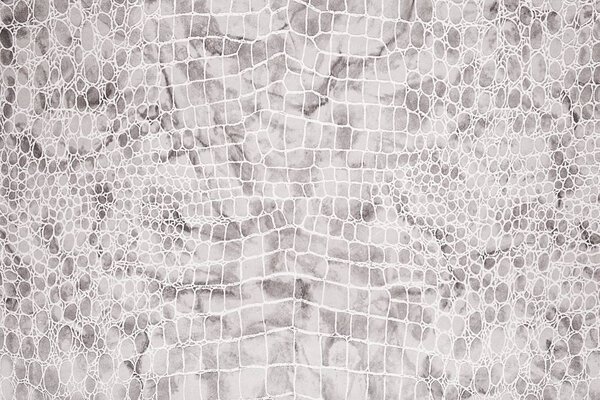 Reptile background (bright colors)