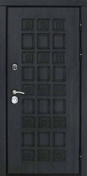 Vstupní dveře (kovové dveře) — Stock fotografie
