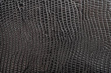 Doğal deri, yakın çekim, arka plan tasarımı için