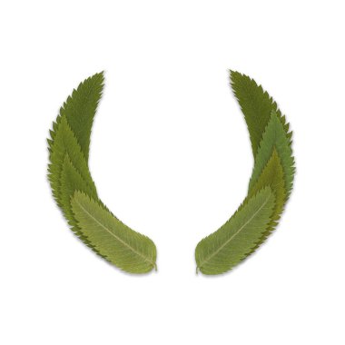 Şablon tebrik kartı yeşil yaprakları bir çelenk ile