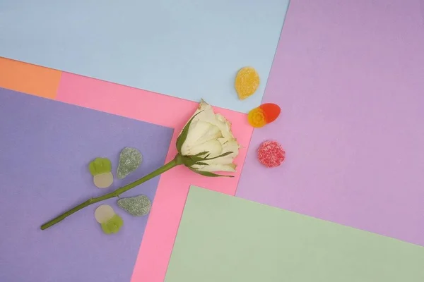 Composition Avec Des Roses Des Bonbons Mâcher Isolés Sur Fond — Photo