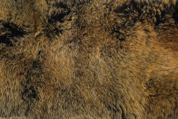 Естественный Мех Лиса Фон — стоковое фото