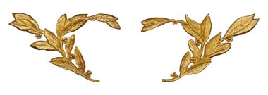 Beyaz arka planda izole edilmiş çiçek desenli altın dekoratif bir element. Kırpma yolu ile tasarım ögesi