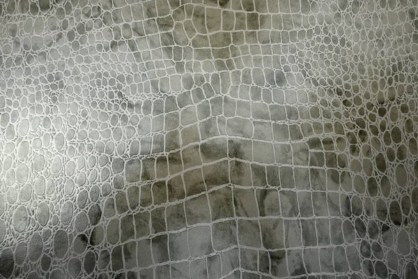 Background in the form of isolated reptile skins (imitation leatherette)