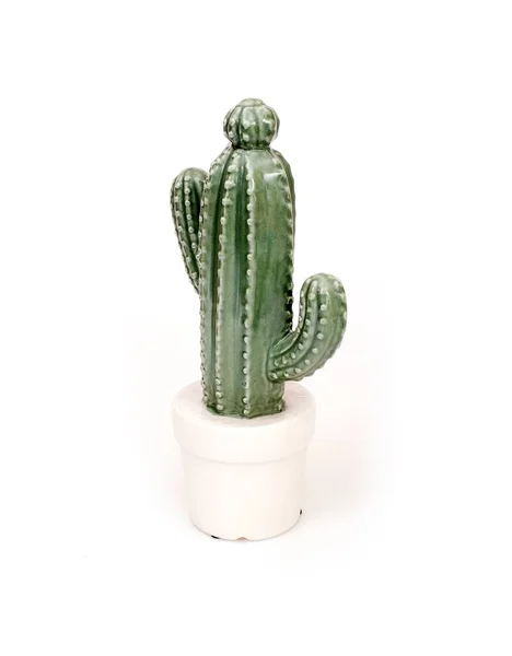 Cactus Ceramica Isolato Sfondo Bianco Creare Poster Simbolici Cartoline Sfondi — Foto Stock